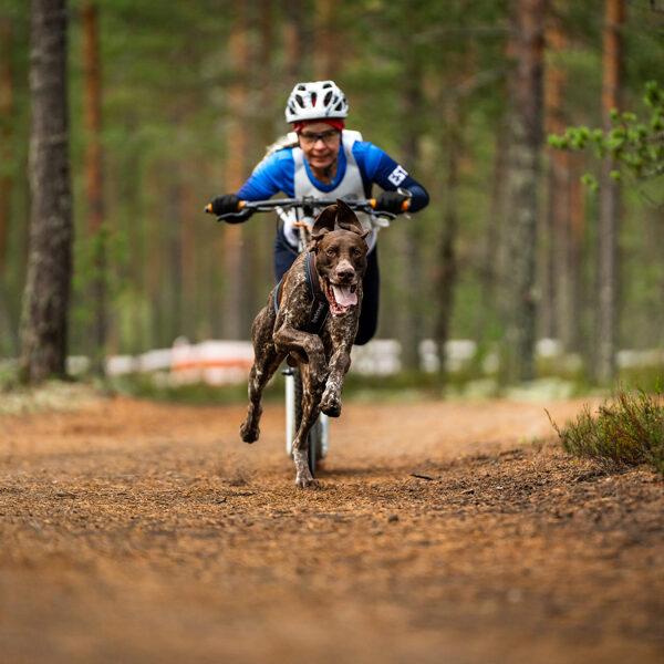 Toru RaceDog Latvia in European Championships with owner Anu Raja
