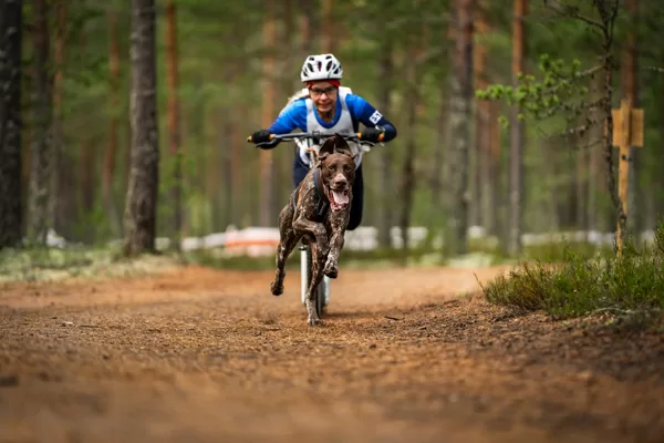Toru RaceDog Latvia in European Championships with owner Anu Raja